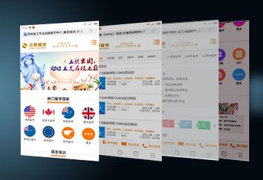 手机网站建设案例-立朗出国